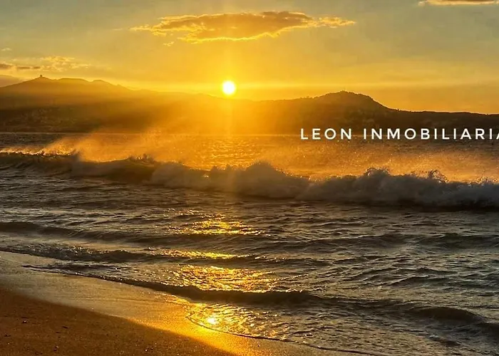 Leon Inmo Amira - 10191 * Empuriabrava